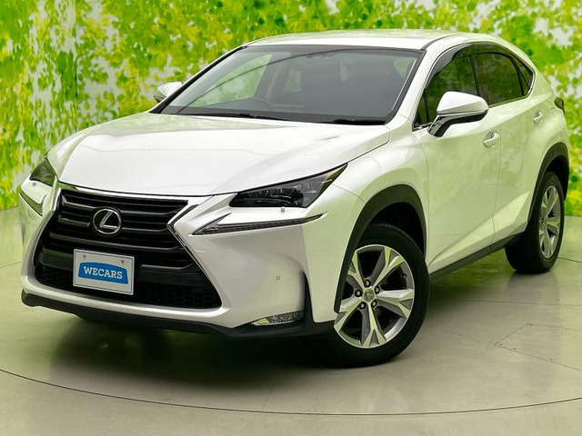 NX200t Iパッケージ 4WD