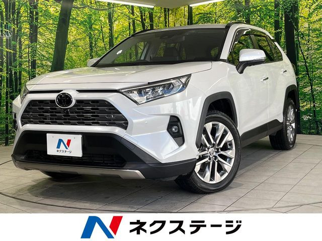 RAV4 2.0 G Zパッケージ 4WD （6BA-MXAA54）