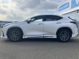 NX 250 バージョンL 
