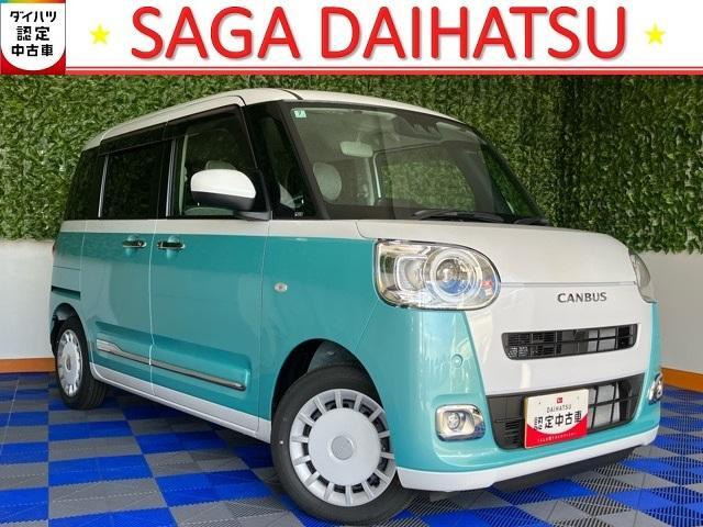 ムーヴキャンバス  ストライプス G