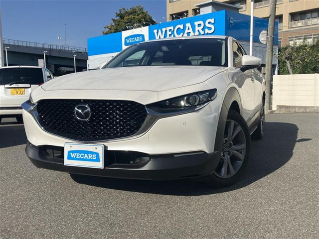 CX-302.0 20S プロアクティブ