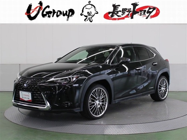 UX 250h バージョンC 