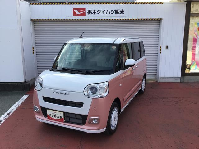 ムーヴキャンバス  ストライプス G