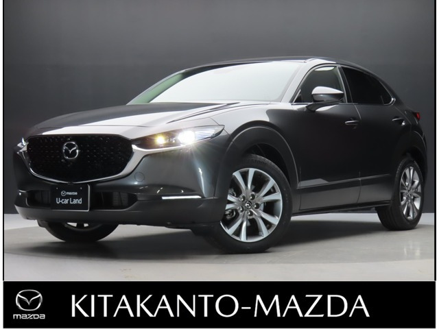 CX-302.0 20S ツーリング 4WD