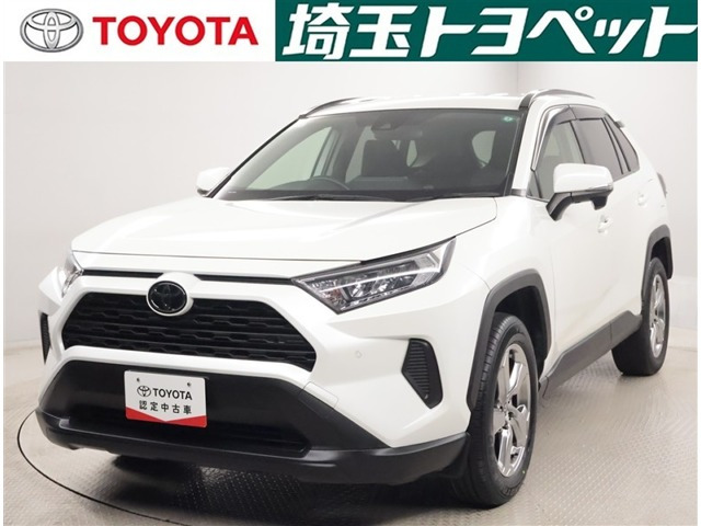 RAV4 2.0 X