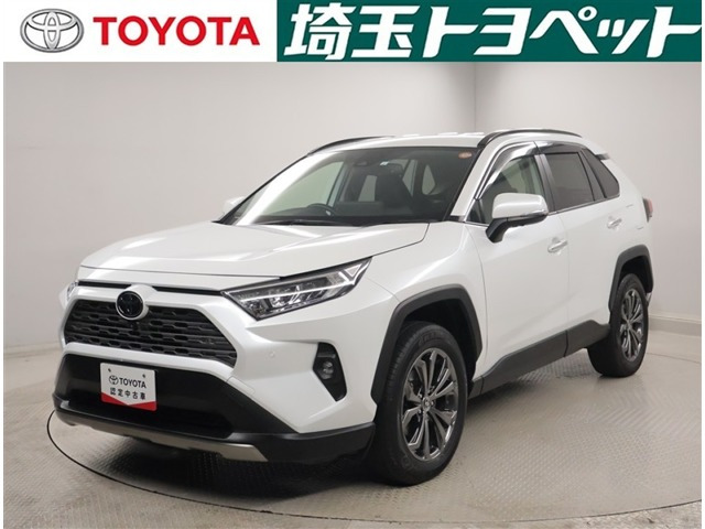 RAV4 2.0 G 4WD