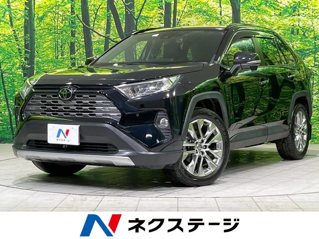 RAV4 2.0 G Zパッケージ 4WD （6BA-MXAA54）