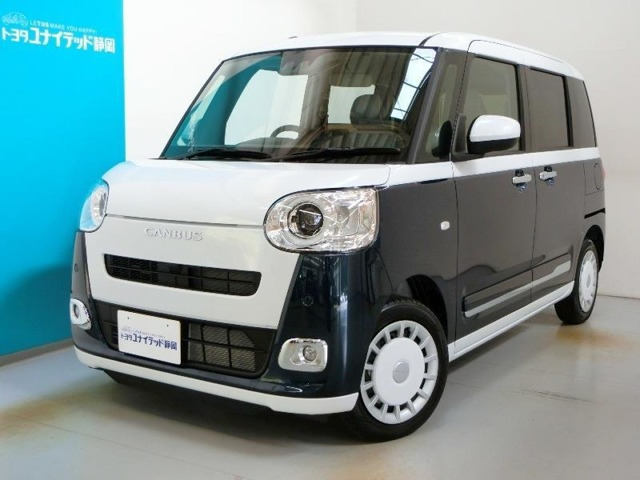 ムーヴキャンバス  ストライプス G