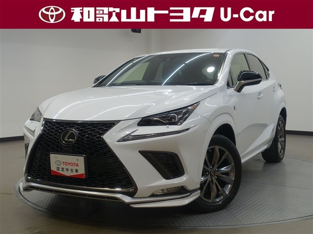 NX 300 Fスポーツ （DBA-AGZ10）