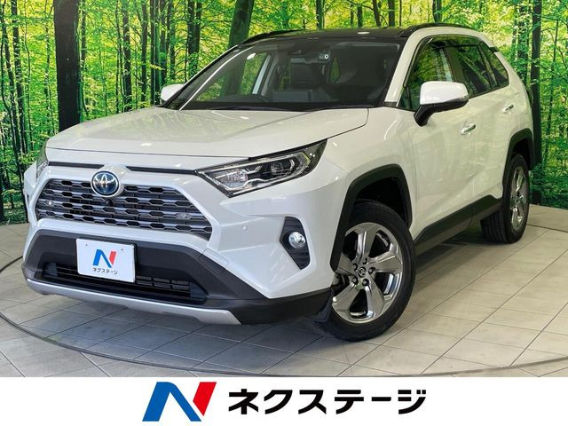 RAV4 2.5 ハイブリッド G E-Four 4WD （6AA-AXAH54）