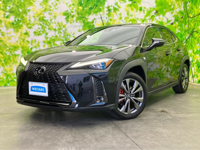 UX250h Fスポーツ