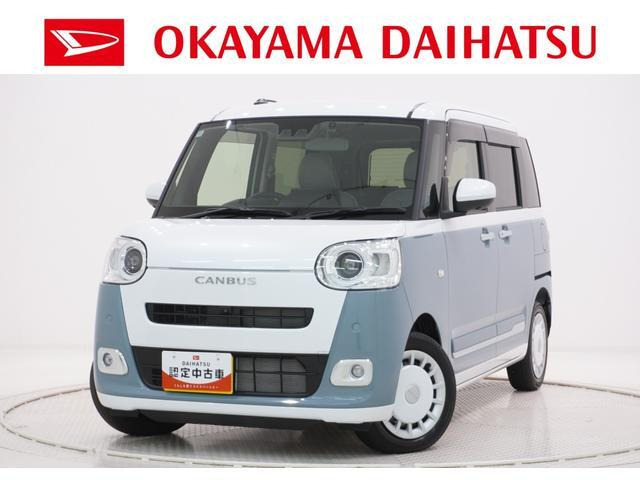 ムーヴキャンバス  ストライプス G