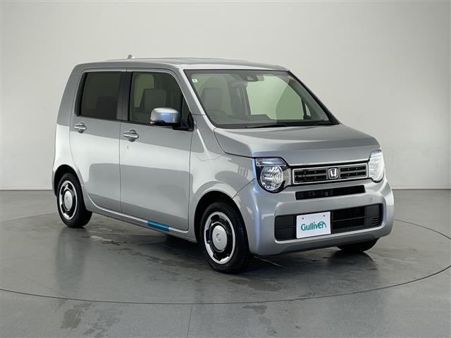 N-WGNL修復歴無し