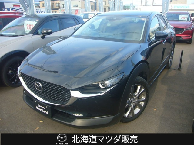 CX-302.0 20S 4WD