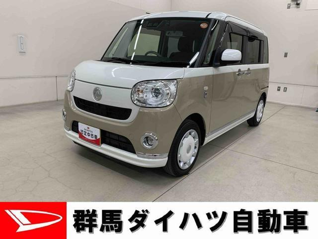 ムーヴキャンバス G メイクアップ リミテッド SAIII