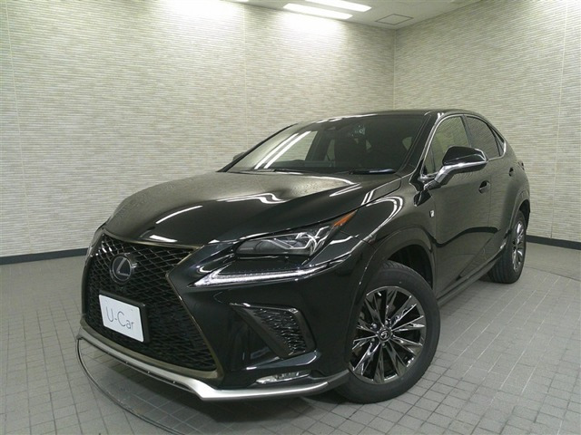 NX300h アーバンスタイルクール&ブライト