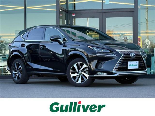 NX300h スパイス&シック 4WDサンルーフ