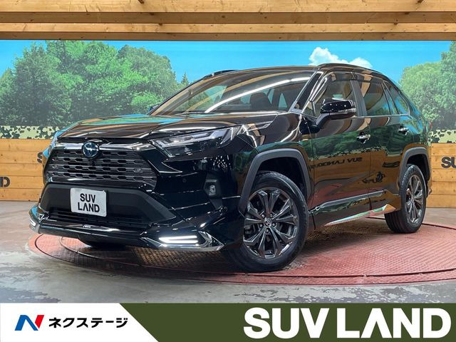 RAV4 2.5 ハイブリッド G E-Four 4WD （6AA-AXAH54）