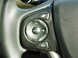 運転中のオーディオ操作に便利なステアリングリモコン付きです。
