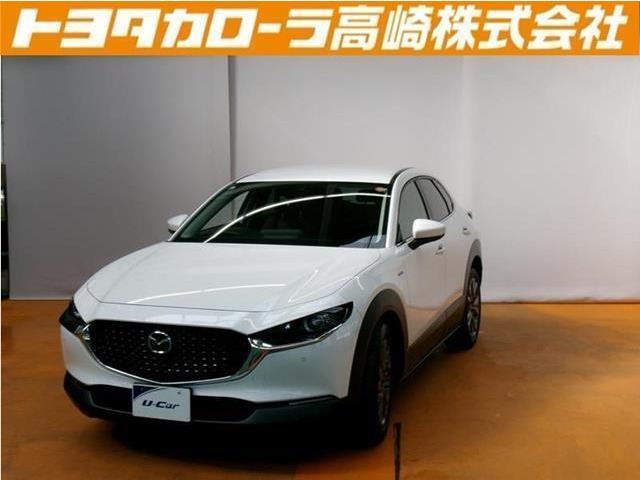 CX-302.0 X 100周年特別記念車