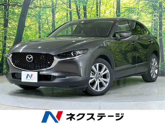CX-302.0 20S プロアクティブ