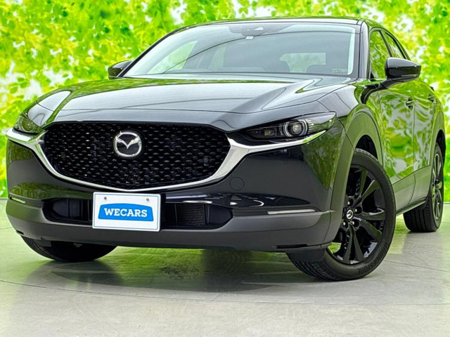 CX-302.0 20S ブラックトーンエディション