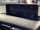USB・Bluetooth・フルセグTVも付いてます