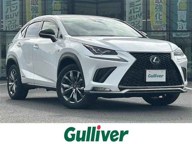 NX 300h Fスポーツ 本革シート 修復歴無し