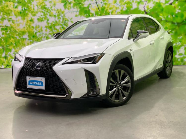 UX250h Fスポーツ