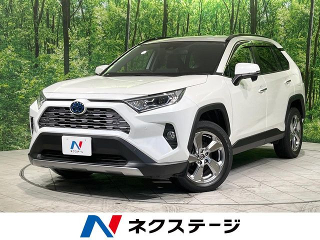 RAV4 2.5 ハイブリッド G E-Four 4WD （6AA-AXAH54）