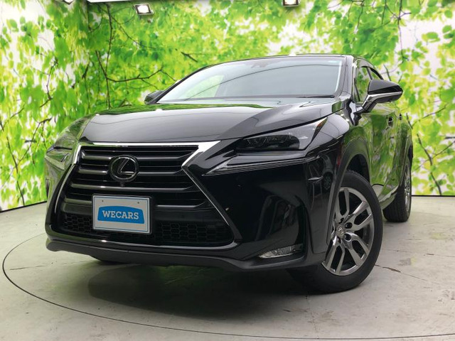 NX200t バージョンL