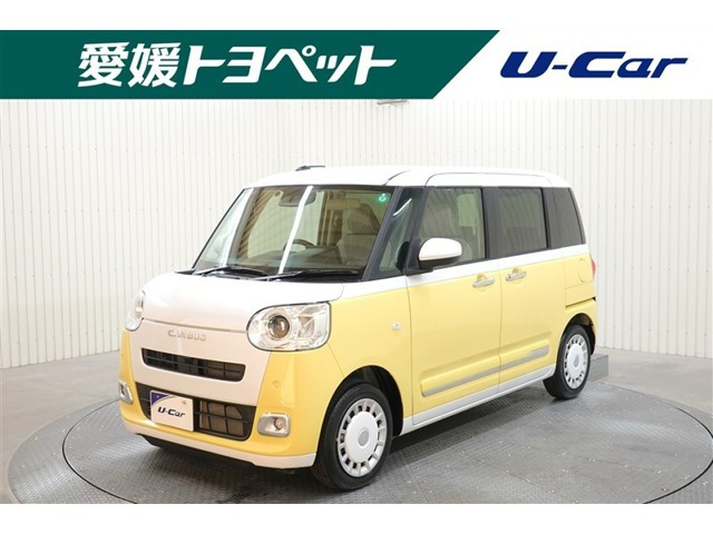 ムーヴキャンバス  ストライプス G