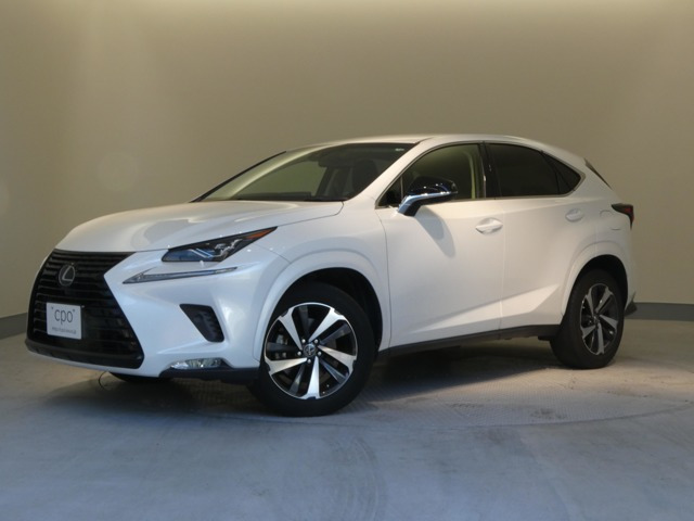 NX300 ブラック シークエンス