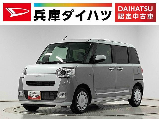 ムーヴキャンバスストライプス G