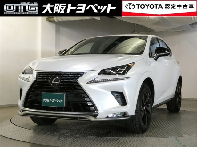 NX300スパイス&シック