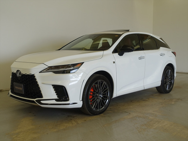 RX500h Fスポーツパフォーマンス 4WD