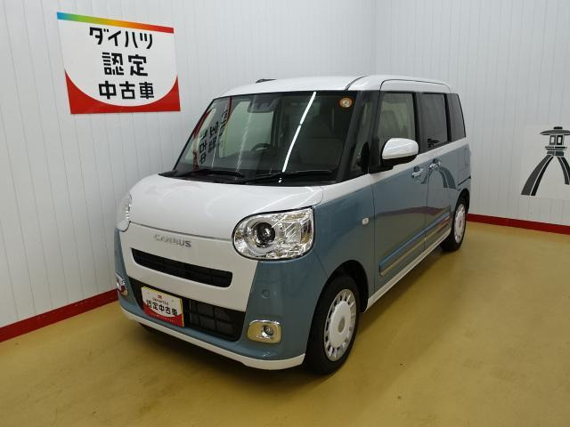 ムーヴキャンバス ストライプス G