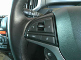 ハンドル左にはオーディオスイッチを装備しております。
