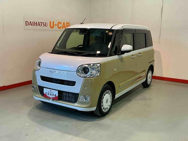 ムーヴキャンバス ストライプス G