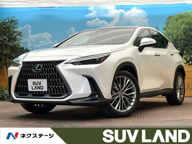 NX 250 バージョンL