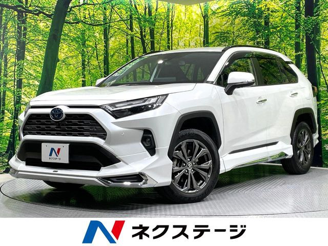 RAV4 2.5 ハイブリッド G E-Four 4WD （6AA-AXAH54）