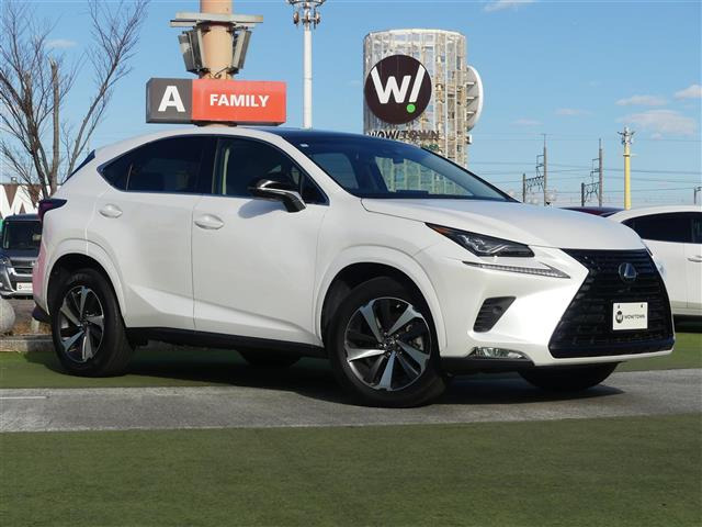 NX300 ブラック シークエンス本革シート サンルーフ