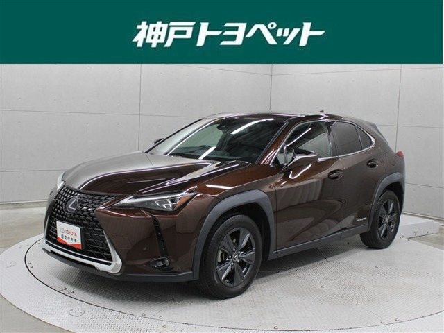 UX250hブラウン エディション