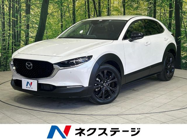 CX-302.0 20S ブラックトーンエディション