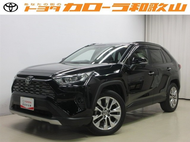 RAV4 2.0 G Zパッケージ 4WD（6BA-MXAA54）