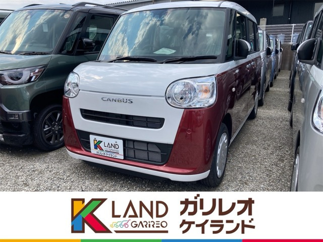 ムーヴキャンバス  ストライプス X