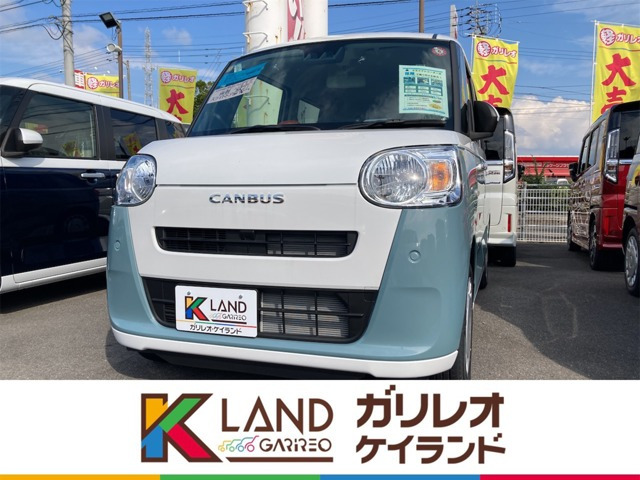 ムーヴキャンバス  ストライプス X