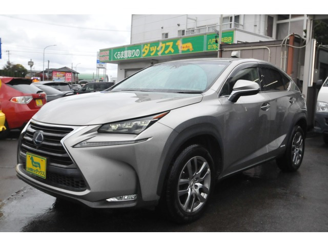 NX 300h Iパッケージ 