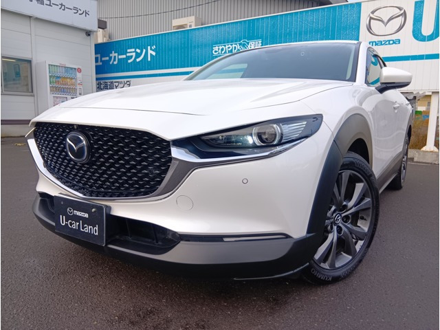 CX-302.0 X プロアクティブ ツーリングセレクション 4WD