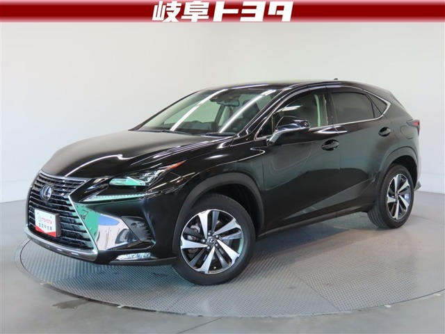 NX 300 バージョンL 